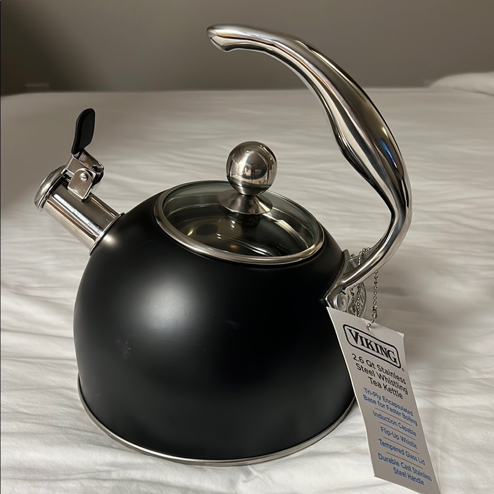 Black Stainless Steel Tea Kettle